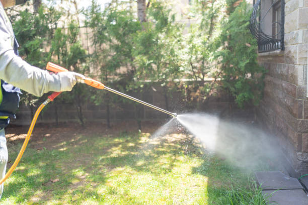 Seasonal Pest Control in Steeleville, IL